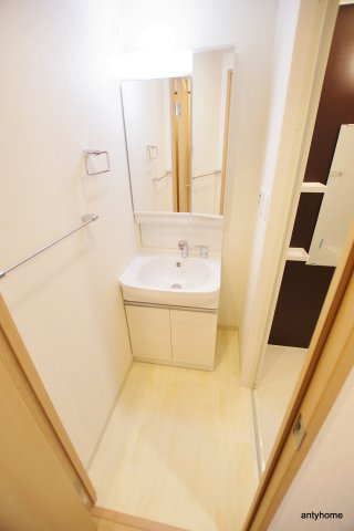 フォーリアライズ南堀江ヴィータ 仲介手数料無料の洗面所