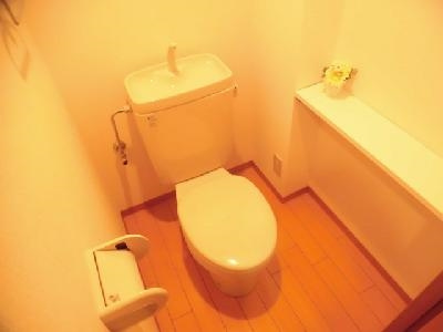 ファーストコート五条若宮（旧アルス若宮）のトイレ