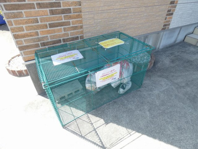 【その他共用部分】 | サニーハイツ南川町