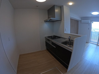 【キッチン】 | ローマンカモミール