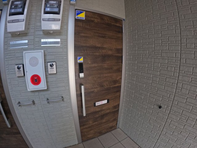 【エントランス】 | ローマンカモミール