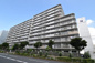 ハイラーク木場の画像