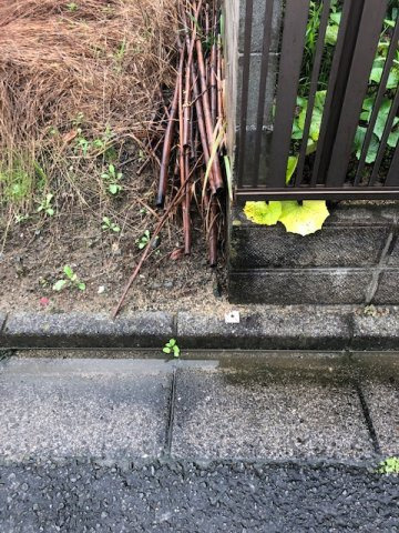 紀の川市上田井・土地・56615のその他