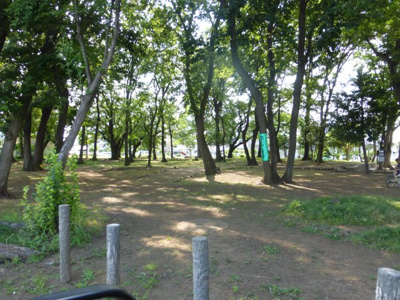 【周辺】 | エスタシア風