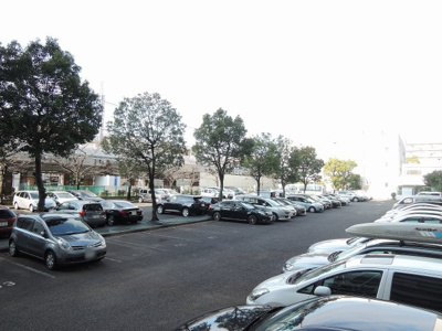 【駐車場】 | 日吉ロイヤルマンション | 平置き駐車場