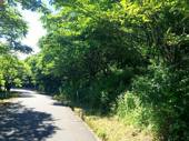 佐久高原草笛ランド別荘地の画像