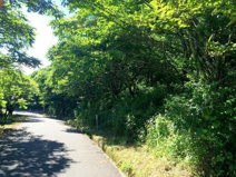 佐久高原草笛ランド別荘地の画像