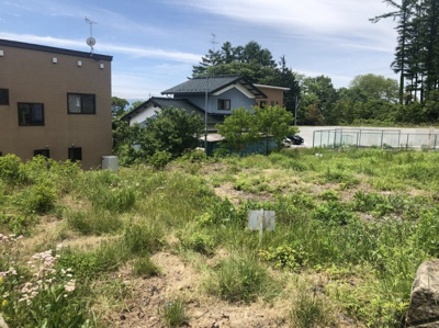 【外観】 | 西軽井沢団地南西売地 | 現地（2022年6月）撮影