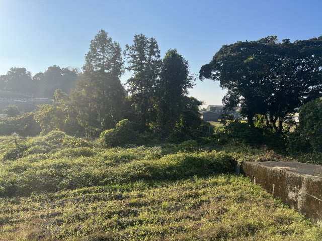 西条市下島山甲【303】125.83坪の周辺