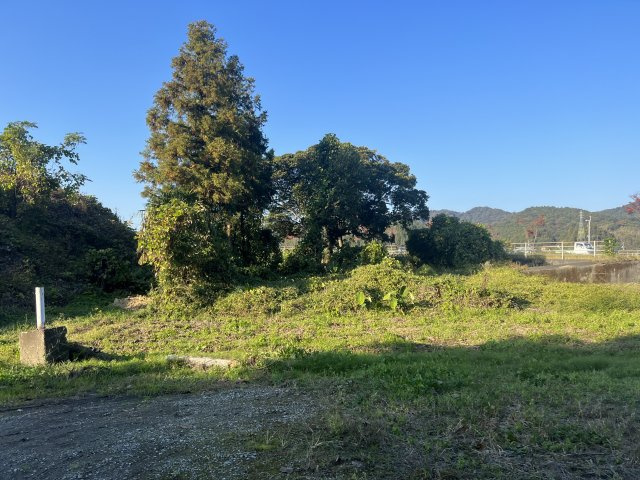 西条市下島山甲【303】125.83坪の周辺