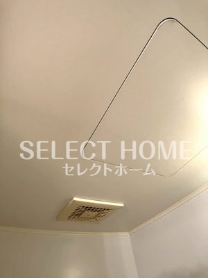  | カテドラール柱曙