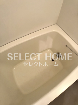  | カテドラール柱曙