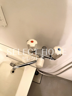  | カテドラール柱曙