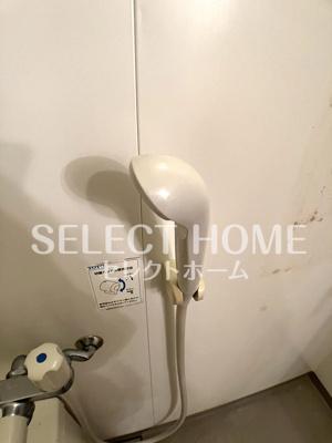  | カテドラール柱曙