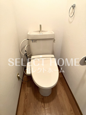  | カテドラール柱曙