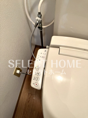  | カテドラール柱曙