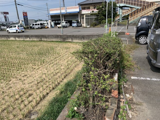 西条市飯岡土地【1,330】134.30坪の外観
