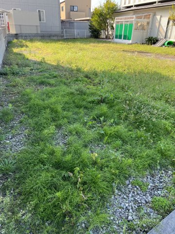 西条市大町土地Ｃの外観