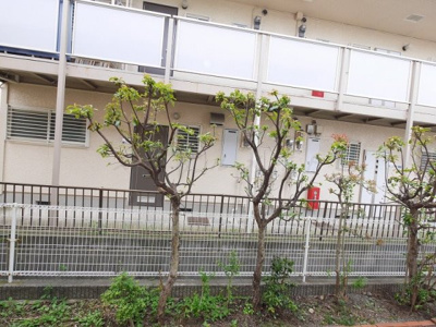 【展望】 | AXIS原宿弐番館（あくしすはらじゅくにばんかん）