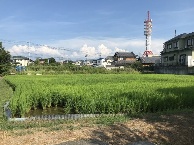 岸和田市流木町　土地の外観