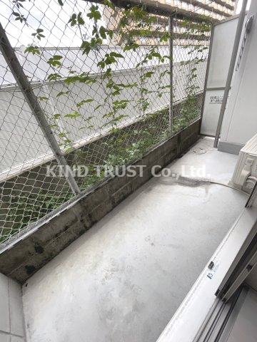 レジーナ天神の庭|お庭です