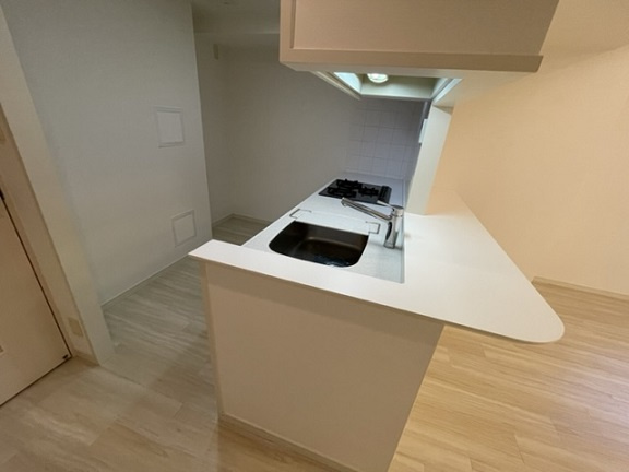 中央区日本橋馬喰町１丁目の賃貸マンションのその他|キッチン・同タイプ参照