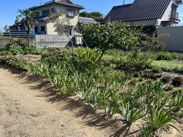 西条市三芳土地【500】100.63坪の外観