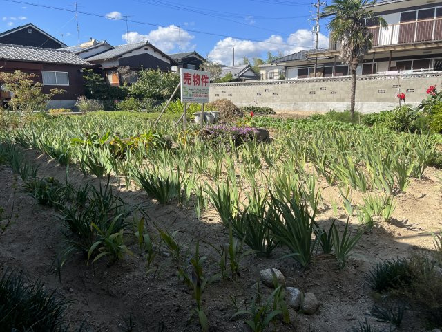 西条市三芳土地【500】100.63坪の外観