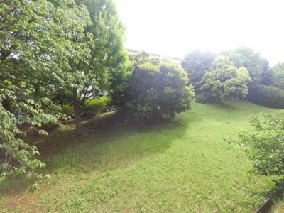 【展望】 | たまプラーザ団地7街区3号棟 | 物件からの眺望です。
1階の物件ですが、やや高さがあり、敷地内の緑の風景を楽しむことができます。