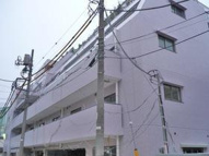 Ｃｏｕｒｔ　Ｏｒｉｅｌの画像