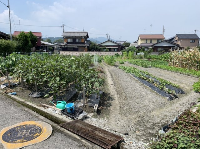 大南分譲Ⅱの外観