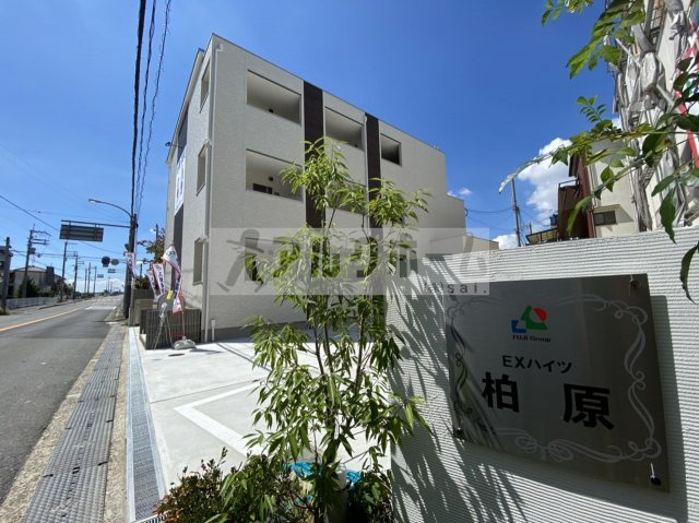 ＥＸハイツ柏原の外観|ＥＸハイツ柏原（柏原市大正・ＪＲ柏原駅）　アパート