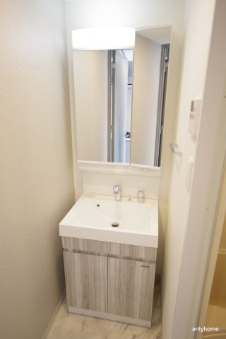 La Douceur江坂Ⅱ　仲介手数料無料の洗面所