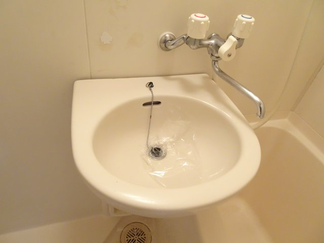 ビレッジK２の洗面所