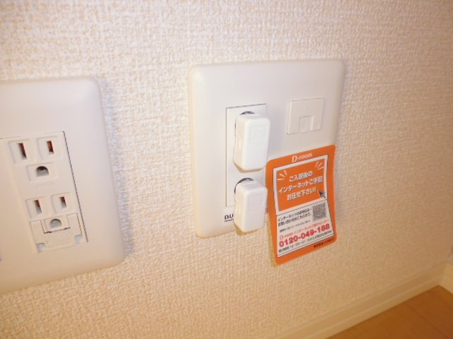 チェリーブロッサムBのその他|インターネット接続