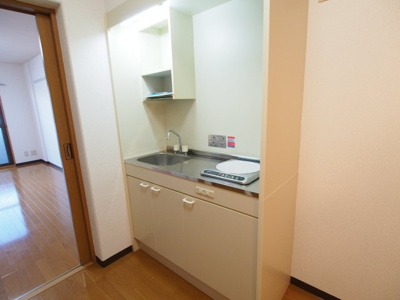 【キッチン】 | 新町ソレーユⅡ | 参考写真　同物件の他のお部屋の写真です
