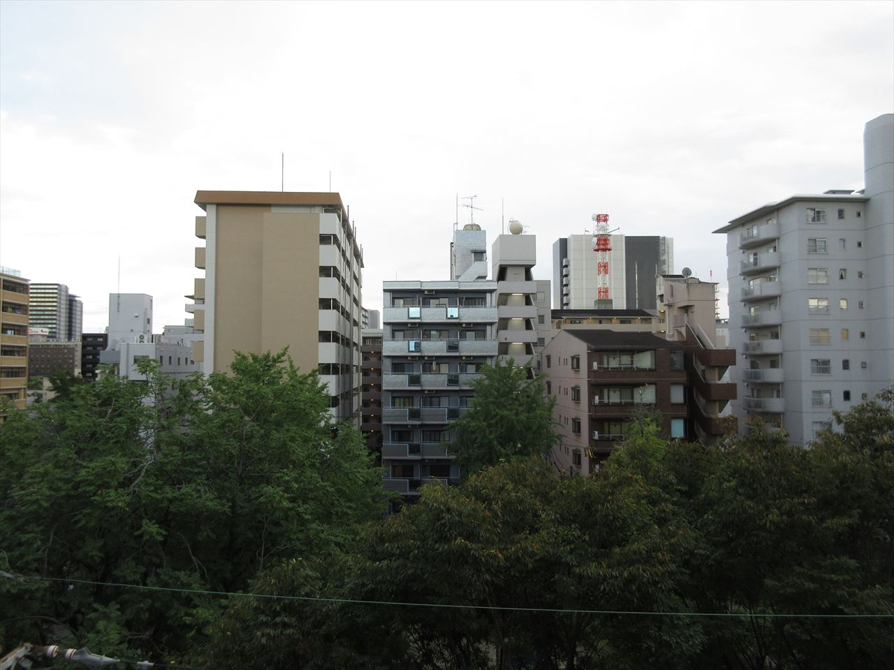 M’s Global PORTⅡの展望|M’s Global PORTⅡ