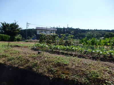  | 安中市松井田町二軒在家売地　Ａ