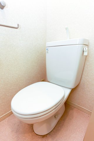 サヴォイエイペックス　5階のトイレ|別号室のものです。現状優先になります。