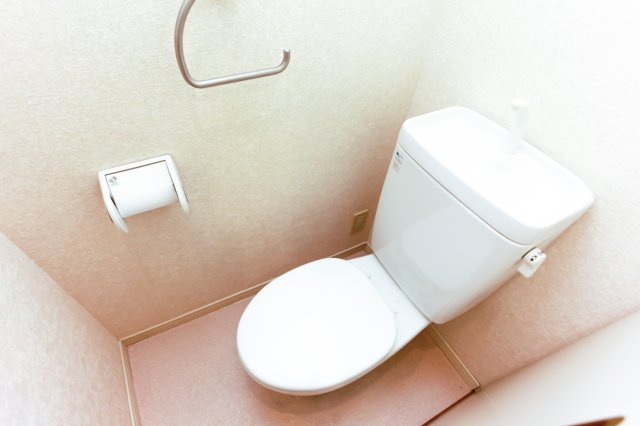 サヴォイエイペックス　5階のトイレ|別号室のものです。現状優先になります。