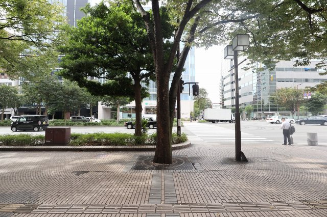 サヴォイエイペックス　5階の周辺