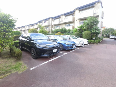 【駐車場】 | ライブタウン綱島5号棟 | 敷地内駐車場