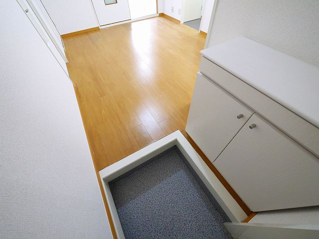 セピアコート（西九条町）の玄関|シンプルで使いやすい玄関です