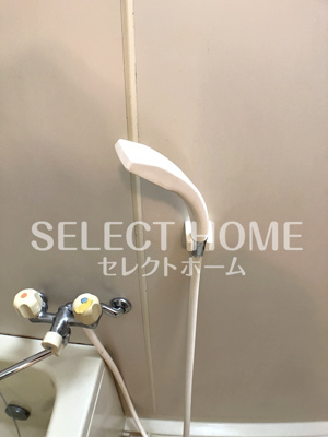  | ニューハイツ