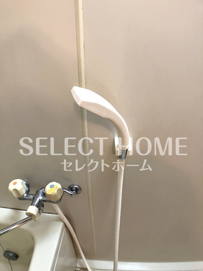  | ニューハイツ