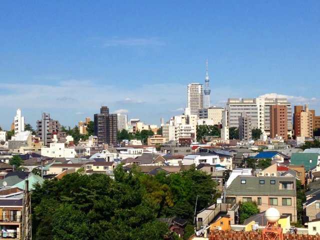 アイル文京白山の展望