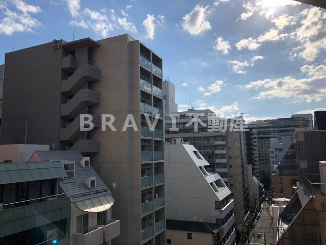 ヴィラタワー谷町　BRAVI不動産の展望|【ヴィラタワー谷町】眺望