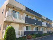 エクレール朝日の画像