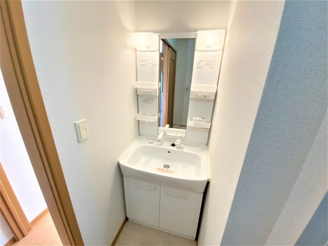 オレンジハウスBの独立洗面台