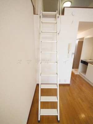  | シダーハウス